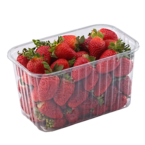 Упаковка для ягод, фруктов и овощей Т1-1000/105